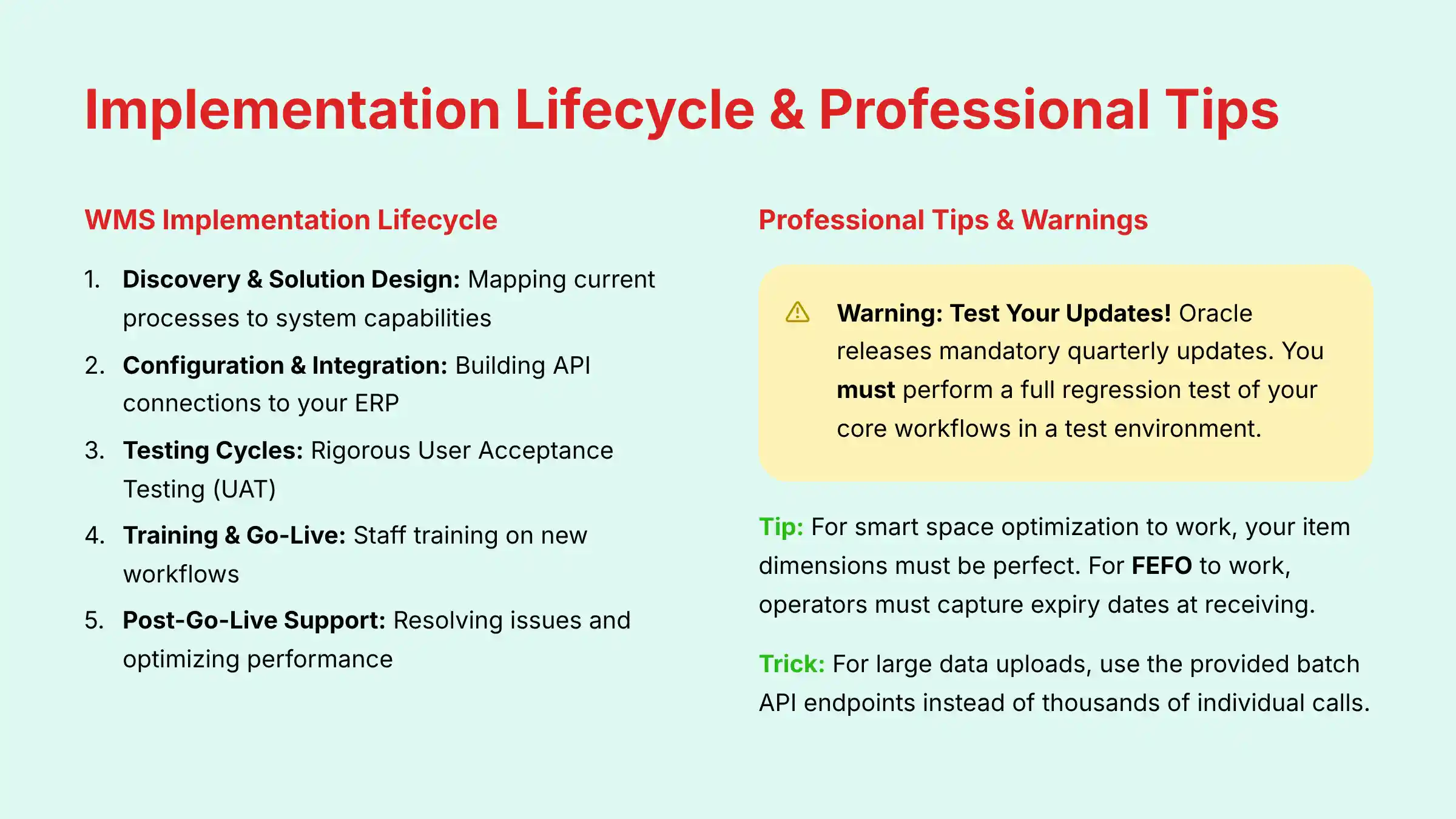 Implementation Lifecycle and Professional Tips