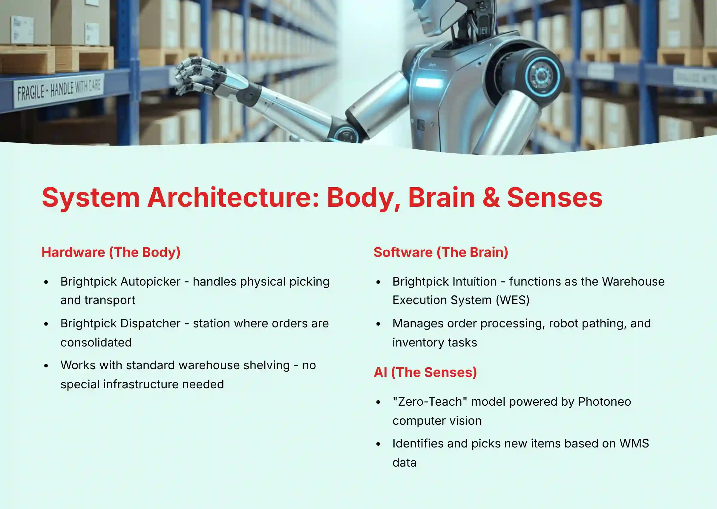 System Architecture - Body, Brain and Senses