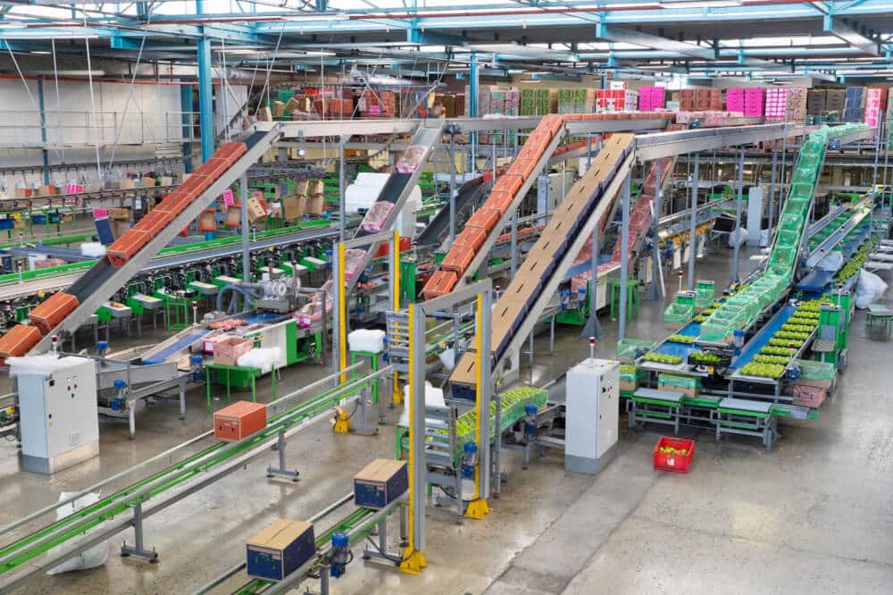 Automated warehouse conveyor system